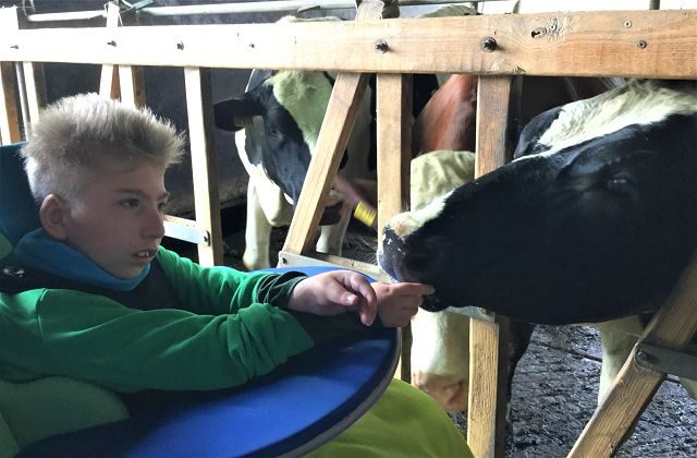 Ausflug der Lerndetektive zum Bauernhof
